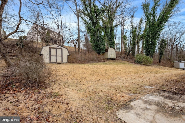 view of yard with a storage unit and an outdoor structure