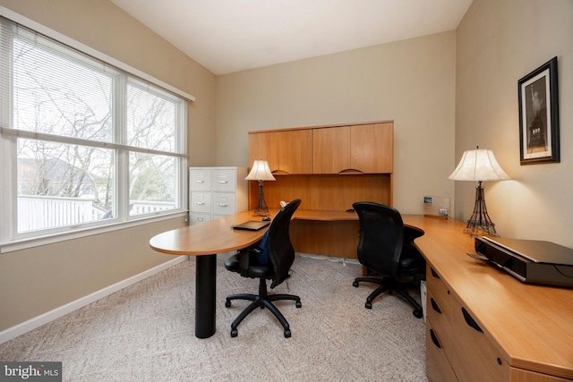 office space with baseboards and carpet flooring