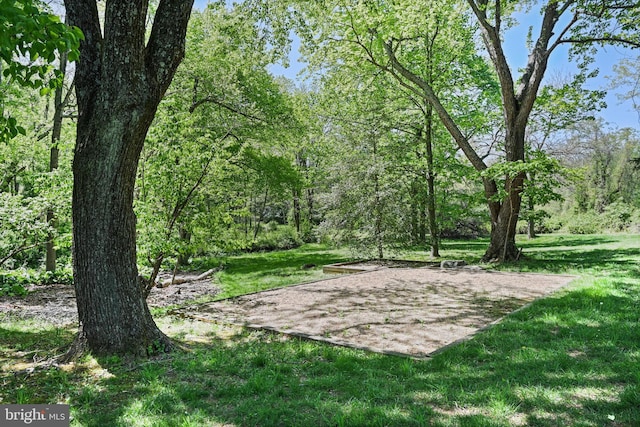 10310 Mystic Meadow Way, Oakton, VA 22124 - view of yard