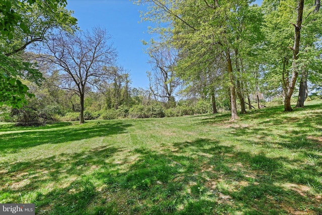10310 Mystic Meadow Way, Oakton, VA 22124 - view of yard