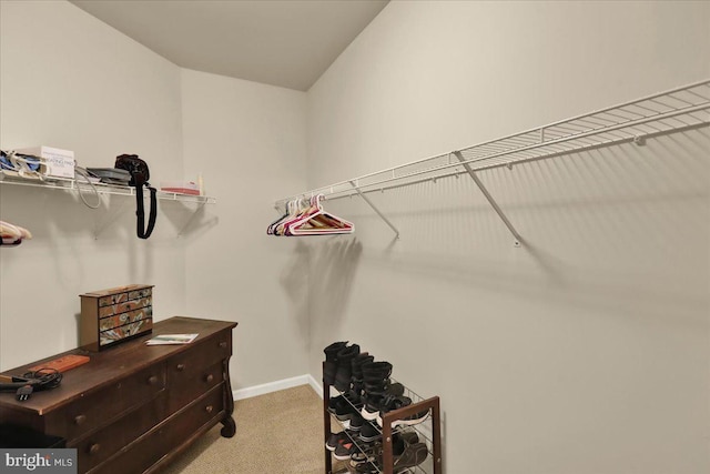 walk in closet featuring light colored carpet