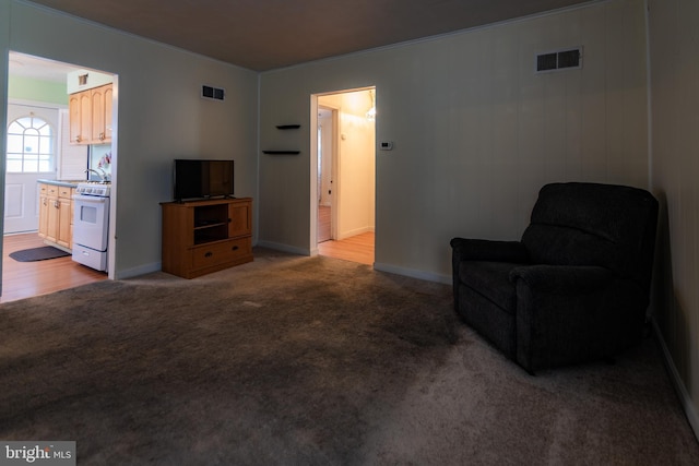 living room featuring carpet floors, baseboards, and visible vents