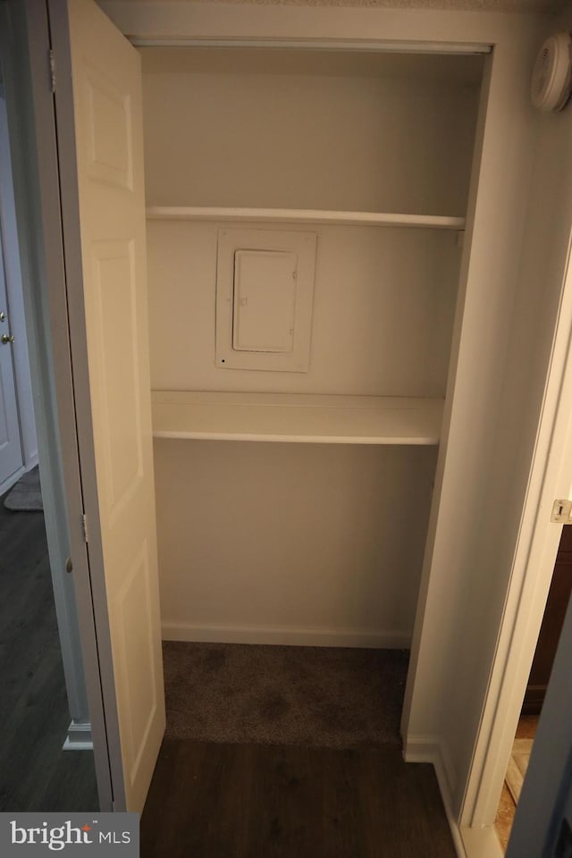 closet with electric panel