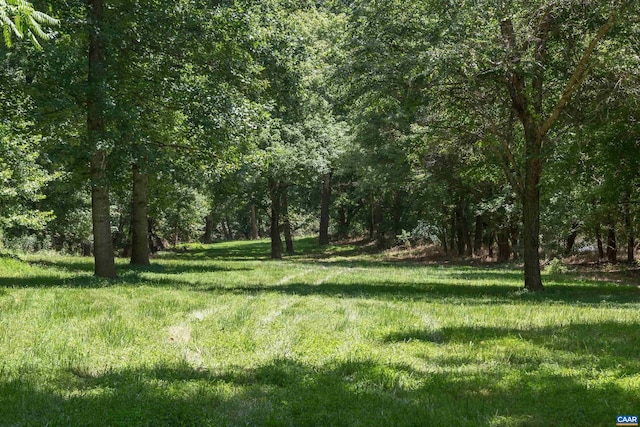 240 Stoneleigh Rd, Palmyra, VA 22963 - view of yard featuring a forest view
