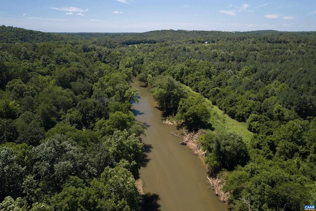 240 Stoneleigh Rd, Palmyra, VA 22963 - bird's eye view of a forest