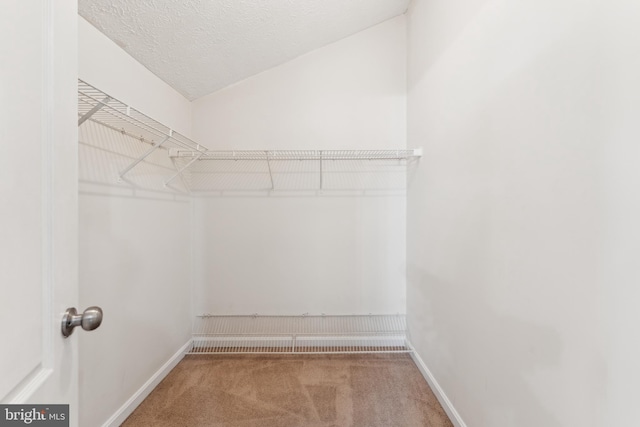 walk in closet featuring lofted ceiling and carpet