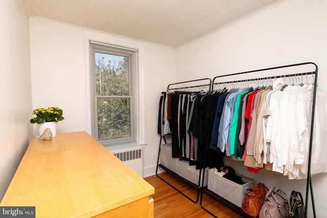 walk in closet with radiator and wood finished floors