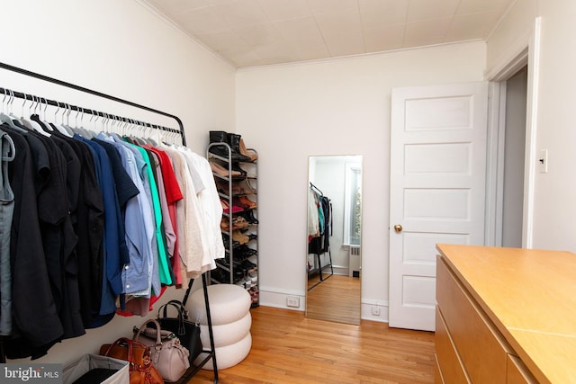 walk in closet with radiator and light wood-style floors