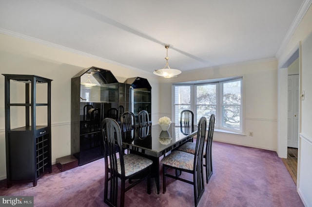 dining room with crown molding, baseboards, and carpet floors