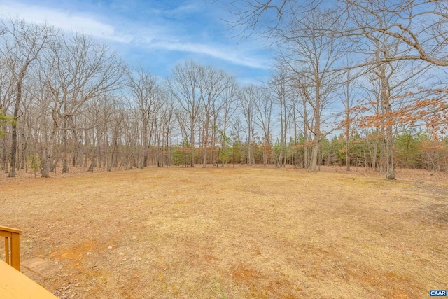 view of local wilderness