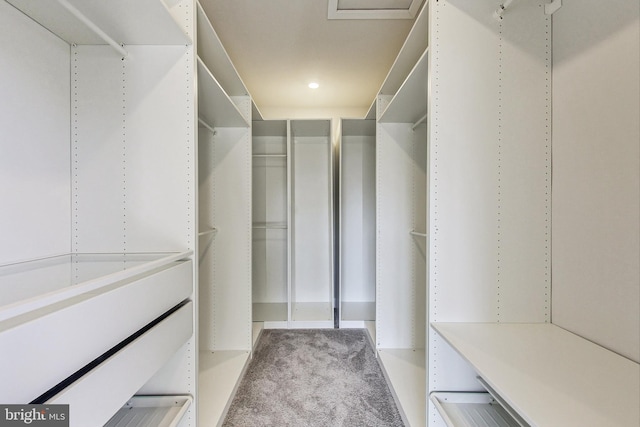 walk in closet featuring carpet