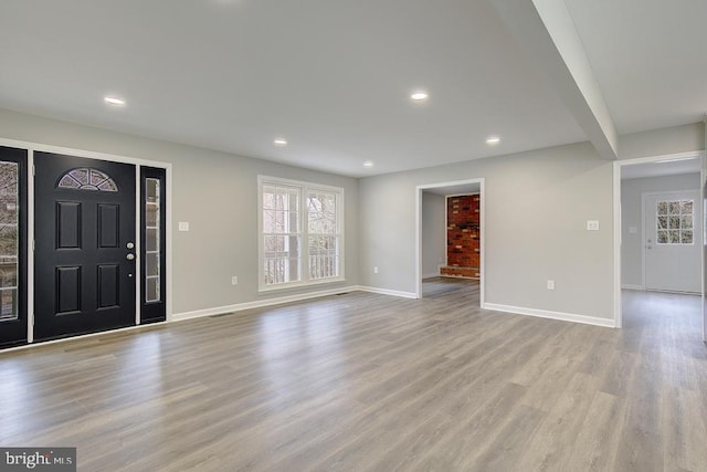 entryway featuring wood finished floors, baseboards, and a wealth of natural light