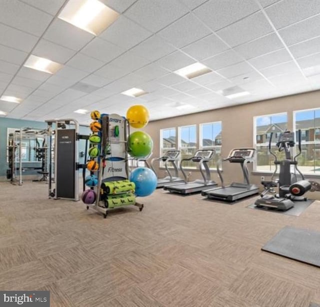 exercise room with a paneled ceiling and carpet