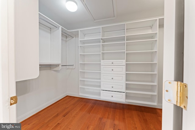 walk in closet with wood finished floors