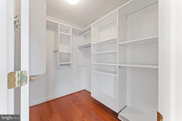 walk in closet featuring wood finished floors