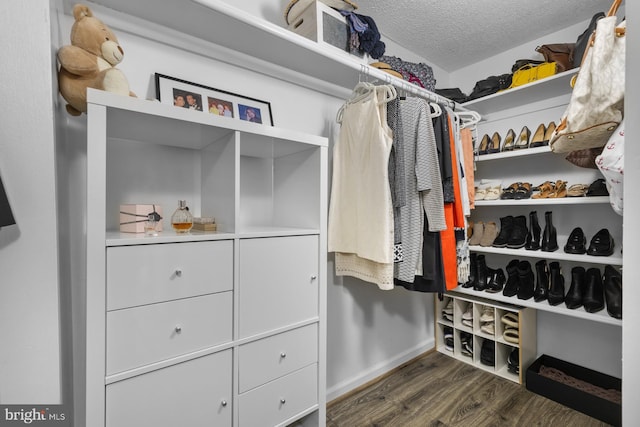 spacious closet with dark wood-style floors