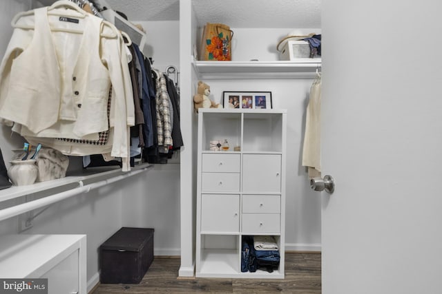 spacious closet with wood finished floors