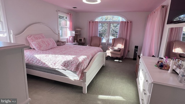 carpeted bedroom with multiple windows and visible vents