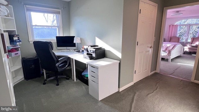 office area with carpet flooring and a healthy amount of sunlight