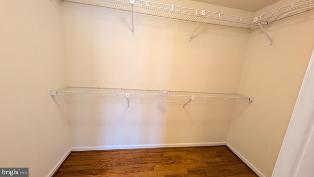 spacious closet featuring wood finished floors