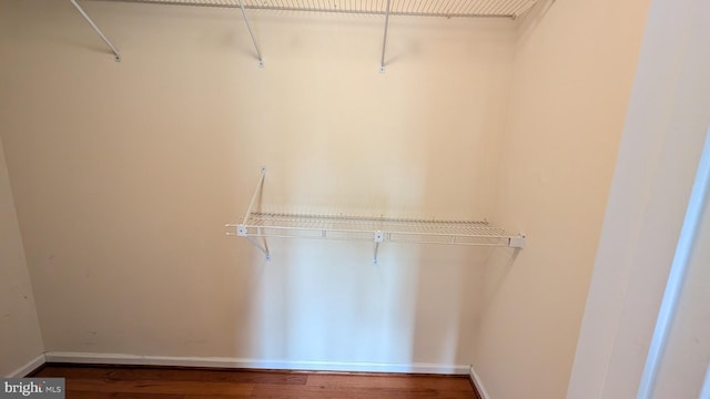 walk in closet featuring wood finished floors