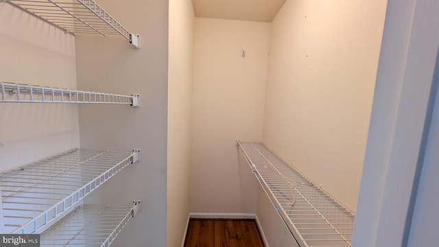 walk in closet featuring wood finished floors