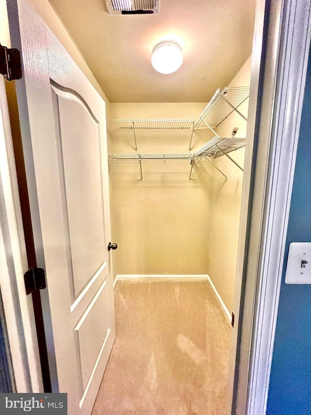 walk in closet featuring visible vents and carpet flooring