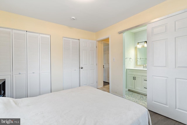 bedroom featuring a sink, connected bathroom, multiple closets, and wood finished floors