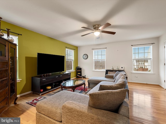125 Monticello Sq, Winchester, VA 22602 - living area with baseboards, ceiling fan, and wood-type flooring
