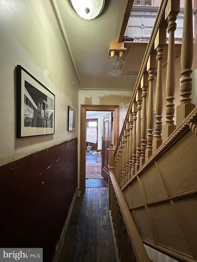 corridor featuring dark wood finished floors, stairway, and ornamental molding