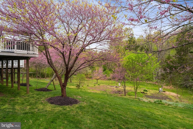 view of yard featuring a wooden deck