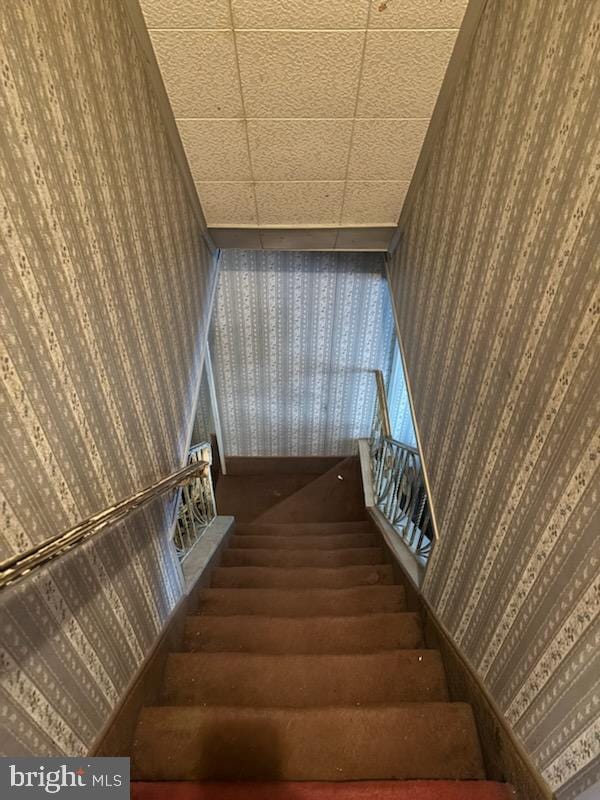 stairs with wallpapered walls