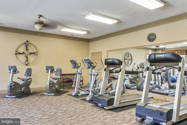 workout area featuring carpet flooring