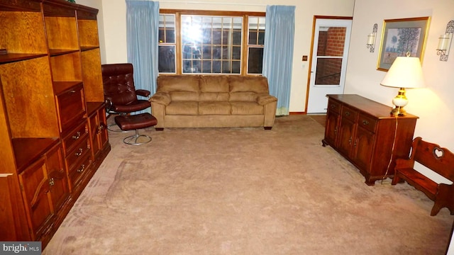 living area with carpet floors