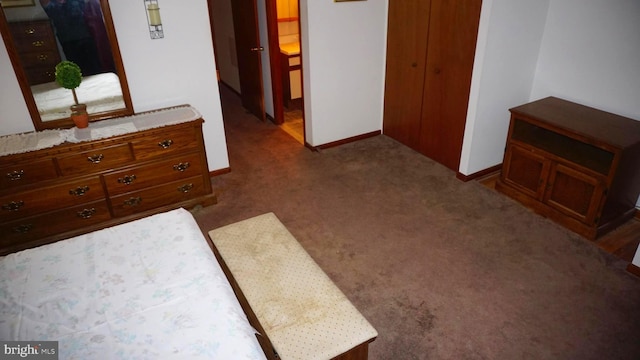 bedroom featuring a closet, baseboards, and carpet