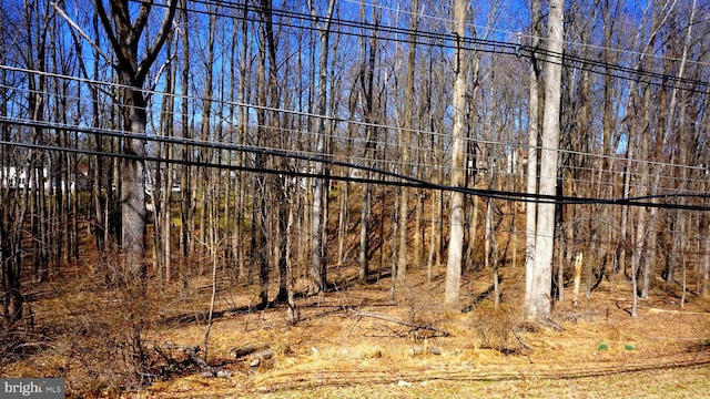 view of local wilderness featuring a view of trees