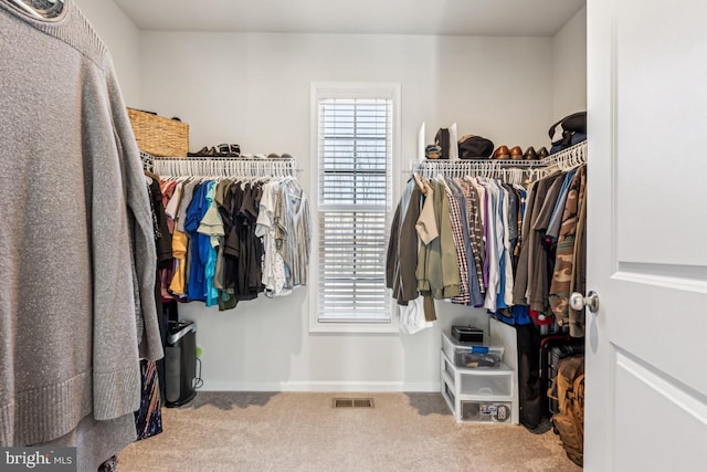 spacious closet featuring carpet flooring and visible vents