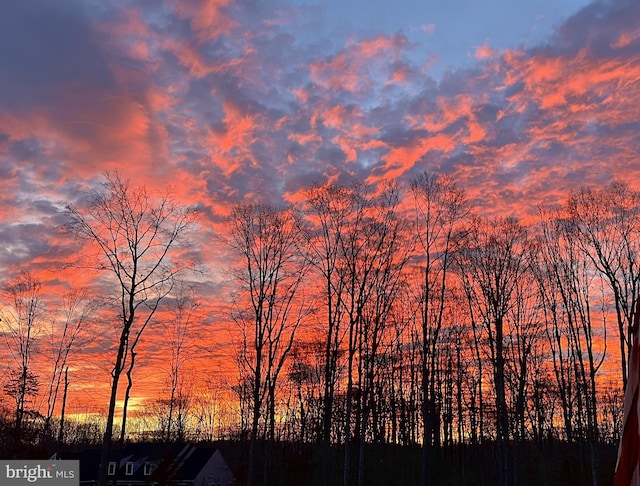 view of nature at dusk