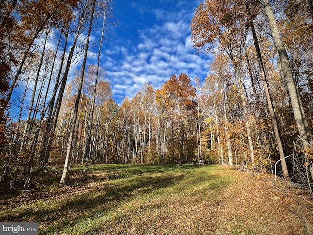 view of yard featuring a forest view