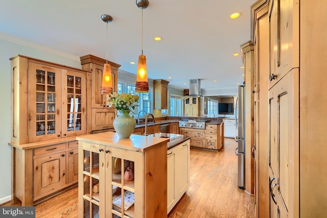 kitchen with light wood-type flooring, an island with sink, stainless steel appliances, island range hood, and glass insert cabinets