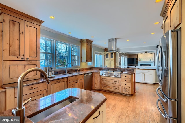 kitchen with a peninsula, island range hood, appliances with stainless steel finishes, and a sink