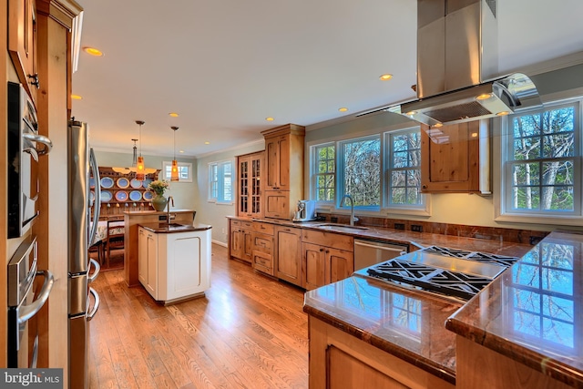 kitchen with ornamental molding, light wood-style flooring, a sink, stainless steel appliances, and island range hood