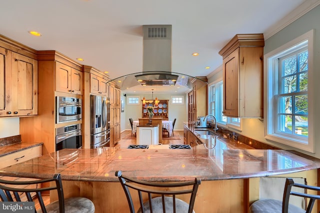 kitchen featuring a breakfast bar, a peninsula, island exhaust hood, a sink, and stainless steel appliances