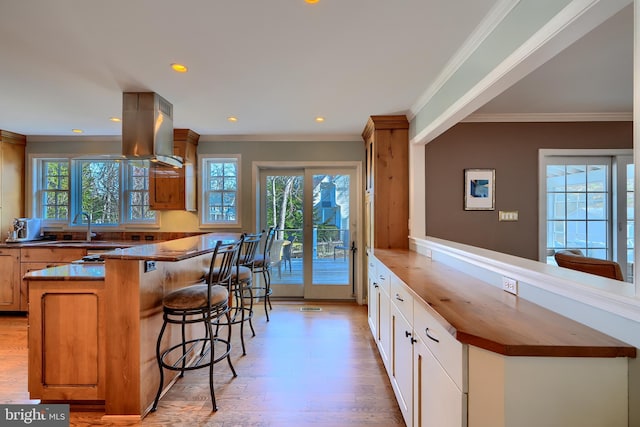 kitchen featuring a wealth of natural light, a peninsula, and light wood-style flooring