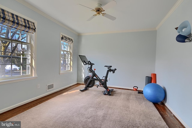 exercise room with wood finished floors, visible vents, baseboards, and ornamental molding