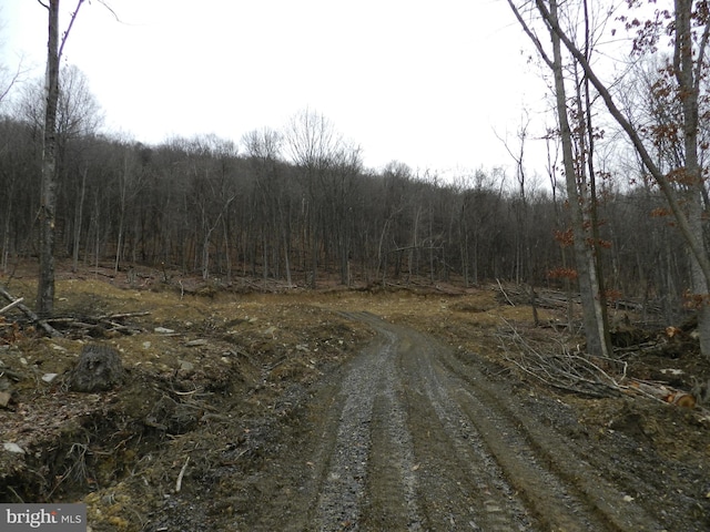 18.87ACRES Elbinsville Rd, Flintstone MD, 21530 land for sale