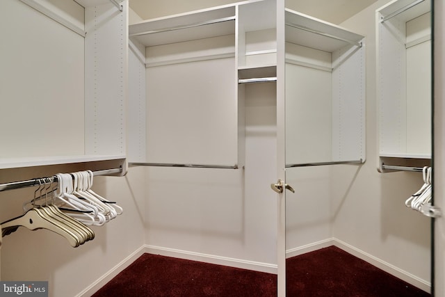 spacious closet with dark colored carpet