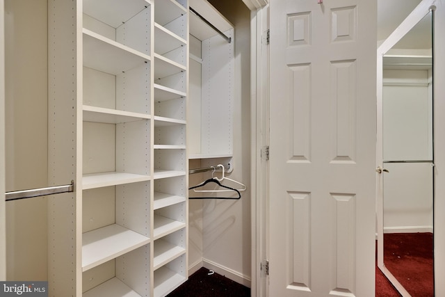 view of walk in closet