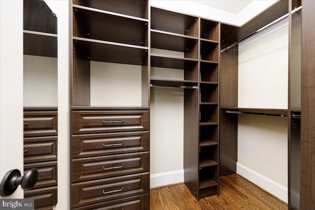 spacious closet featuring wood finished floors