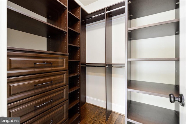 walk in closet with dark wood-style flooring